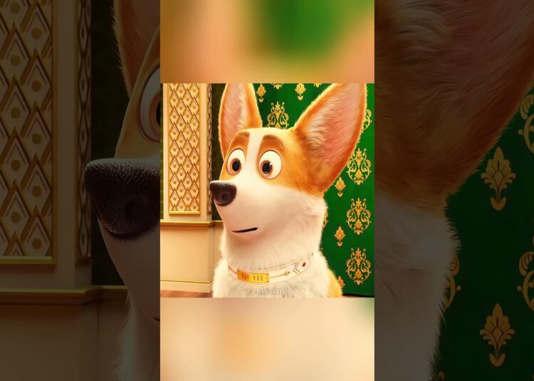 This dog had been treated as royalty since it was young.