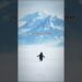 viral penguin #royalty