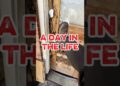 A day in the life as a wood and epoxy artist #artist #adayinthelife  #pov