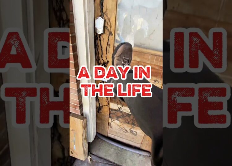 A day in the life as a wood and epoxy artist #artist #adayinthelife  #pov