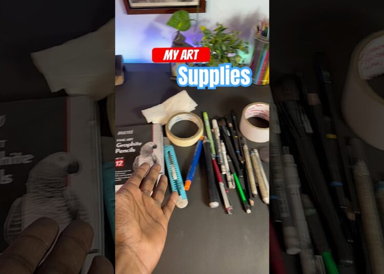 The secret my art supplies 😱🥰#artsupplies #art #artist #viral #shorts