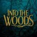 Into The Woods