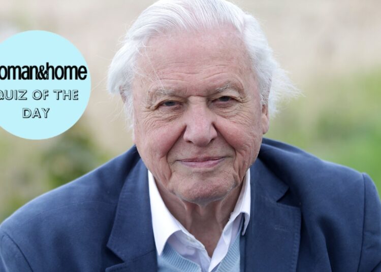 Adore Sir David Attenborough? Quiz yourself on his incredible life and career