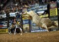 Professional bull riding. U.S. Air Force photo / Tech. Sgt. Michael R. Holzwort