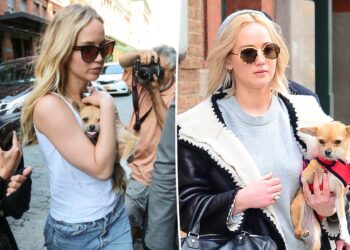 'Awful' Jennifer Lawrence slammed for rehoming dog who bit her child: 'This is so disappointing'
