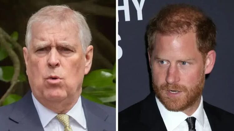 Ex-Prince Andrew and Prince Harry are at the center of what palace insiders are describing as a royal 'Christmas horribilis.'MEGA