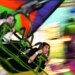 Best things to do in January in Sarasota Bradenton Venice Punta Gorda