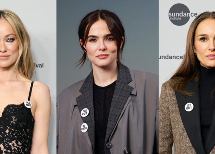 Celebrities wear 'ICE OUT' pins, attend political panels