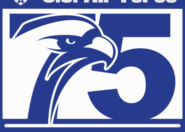 Air Force 75th Birthday Logo