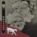 Stereogum home