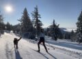 Entertainment this week: Starlight Strolls, Eric Johnson Trio, Winter Wildlife Nordic Ski and more!