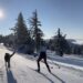 Entertainment this week: Starlight Strolls, Eric Johnson Trio, Winter Wildlife Nordic Ski and more!