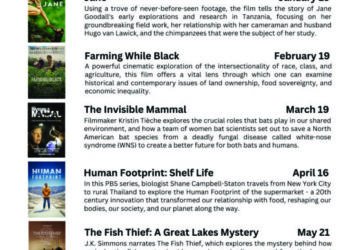 Entertainment with a message | News, Sports, Jobs
