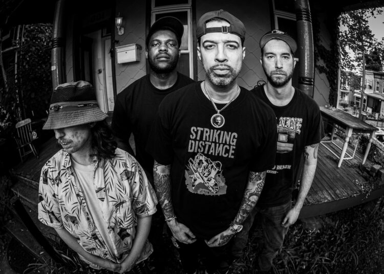 Stereogum home