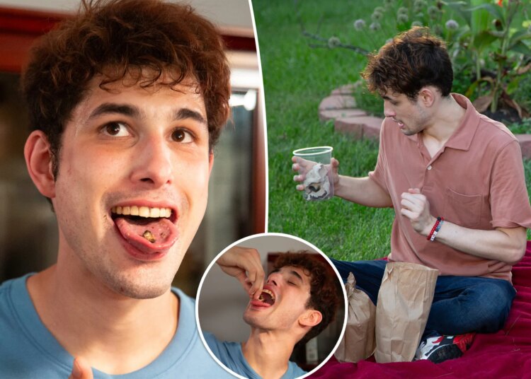 Exclusive | Gen Zer eats up to 100 live bugs a day, enjoys their tongue 'massage'
