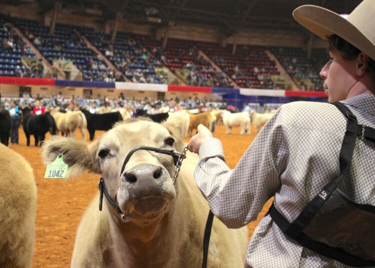 Experience fun and entertainment at the Fort Worth Stock Show & Rodeo