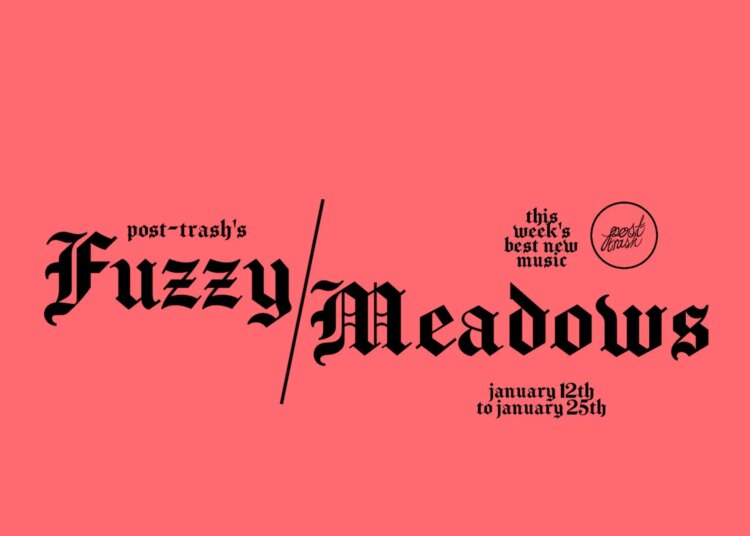 Fuzzy Meadows: The Week's Best New Music (January 12th
