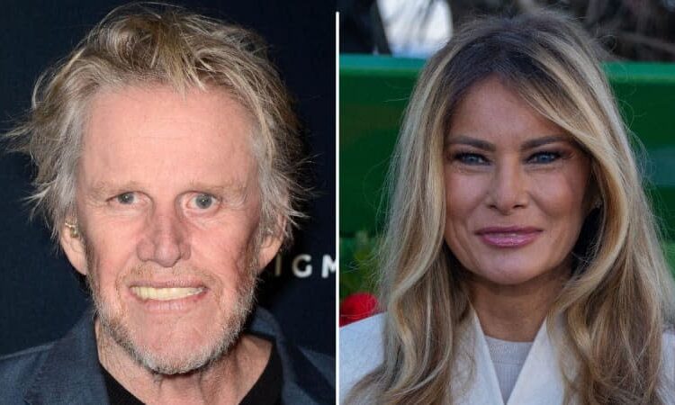 Gary Busey was turned on by Melania Trump's 'beauty' and presence in a resurfaced 'Celebrity Apprentice' scene.MEGA