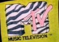 Guy puts over 20,000 MTV videos on new website as a tribute to the 'golden era' of music videos