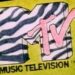 Guy puts over 20,000 MTV videos on new website as a tribute to the 'golden era' of music videos