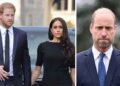 Harry, Meghan fuming over Royal Familys ‘hypocrisy’ after William’s fresh exposé