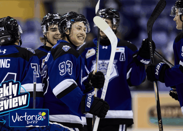 Hockey Fest is back this weekend at the SOFMC