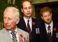 How Princes William, Harry were caught in early royal controversy involving Charles
