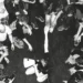 Joyce Manor, SPRINTS, Bodysnatcher, more