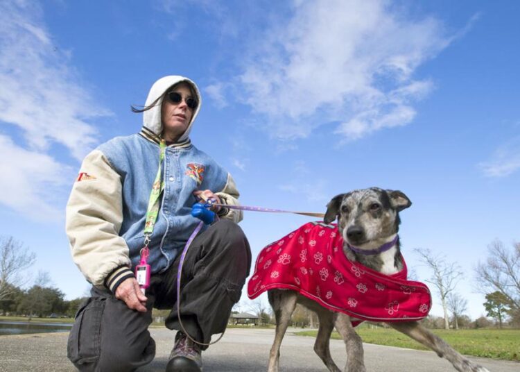 Keep pets safe during bouts of freezing weather | Entertainment/Life