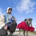 Keep pets safe during bouts of freezing weather | Entertainment/Life