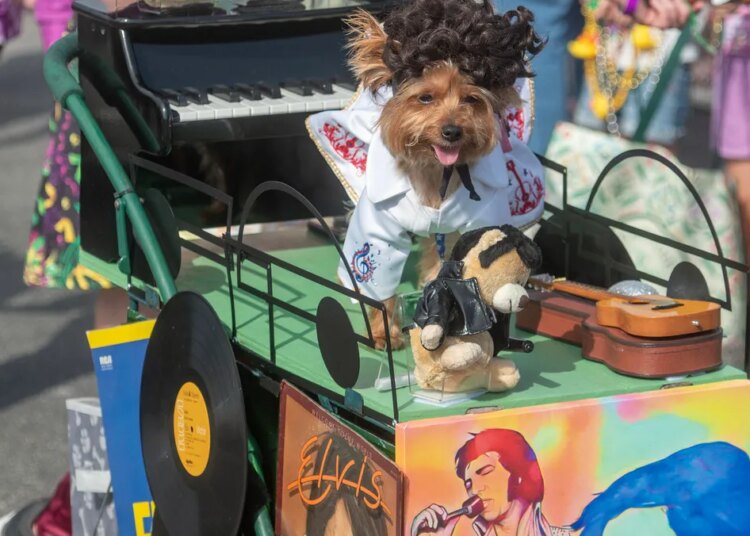 Kids and Kritters Parade on Pensacola beach is Saturday Jan. 24.