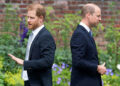 Prince Harry and Prince William