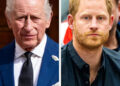 King Charles Reportedly Faces 'New Dilemma' As Prince Harry Wants His Support