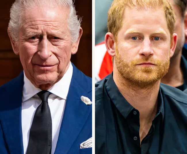 King Charles Reportedly Faces 'New Dilemma' As Prince Harry Wants His Support