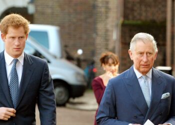 King Charles Response to Prince Harry Regaining Security