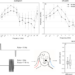 Large-scale music events can cause subclinical hearing damage