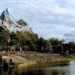 Live entertainment returns to Animal Kingdom amphitheater