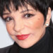 Liza Minnelli Partners with ElevenLabs on New AI Music Project