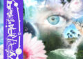 Stereogum home