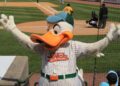 Long Island Ducks sold to REV Entertainment, which also owns the Texas Rangers