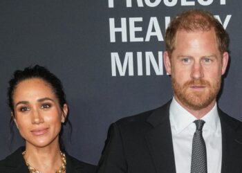 Meghan Markle and Prince Harry's Intense Security Protocols