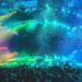 Music events are influencing how India’s Gen Z plans travel, Airbnb data shows