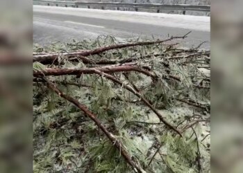 Nashville celebrities hunker down during TN winter storm