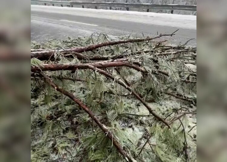 Nashville celebrities hunker down during TN winter storm