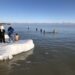 The 2018 Polar Plunge at Bradford Beach. Photo by Jeramey Jannene.