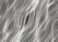 New music – Whitelands: Blank Space (Sonic Cathedral)