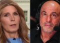 Nicolle Wallace Calls Joe Rogan's Latest Take 'Both Sides BS'