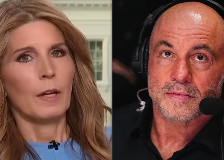Nicolle Wallace Calls Joe Rogan's Latest Take 'Both Sides BS'