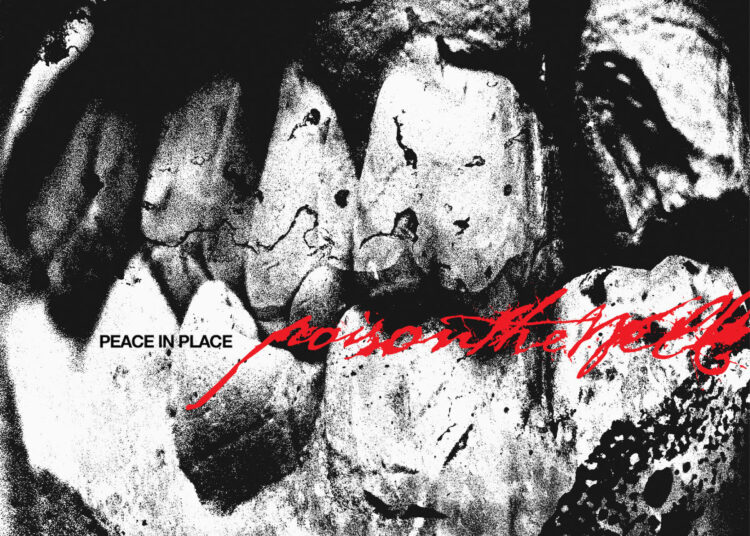 Poison The Well Peace In Place
