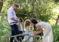 Prince Harry 'could bring Archie and Lilibet to UK without Meghan' | Royal | News